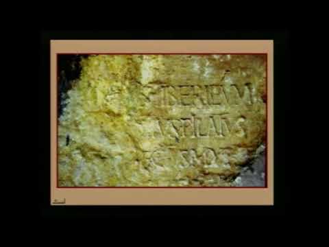 201 MOTO MOKO KAKA new