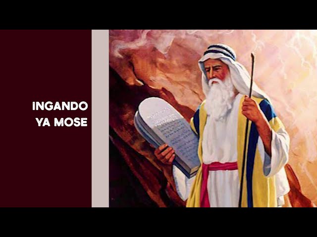 5. Muhashyi Charles: Ingando ya Mose
